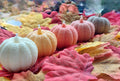 Scented Pumkin Candles/Handmade Soy Candle