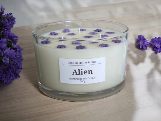 Giant Alien Scented  Candle / Perfume Inspired handmade soy candle/500g