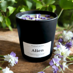 Luxury Alien Scented Candle/ Perfume inspired candle/ Luxury Matt Candle Jar
