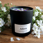 Luxury Alien Scented Candle/ Perfume inspired candle/ Luxury Matt Candle Jar