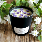 Luxury Alien Scented Candle/ Perfume inspired candle/ Luxury Matt Candle Jar