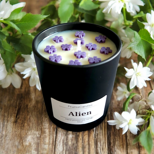Luxury Alien Scented Candle/ Perfume inspired candle/ Luxury Matt Candle Jar